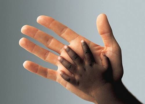 Leia mais sobre o artigo Vínculos que vão além da cor da pele