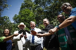 Você está visualizando atualmente Justiça do Amazonas planta árvore para neutralizar ação de poluente