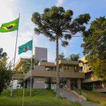 Povos tradicionais do Paraná participam de mutirão da Justiça Eleitoral