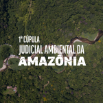 Autoridades brasileiras e internacionais discutem papel da Justiça na Amazônia