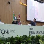Presidente do STF e do CNJ defende atuação estratégica do Judiciário em pautas ambientais