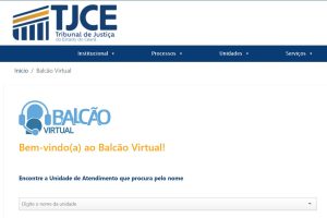 Leia mais sobre o artigo Balcão Virtual não pode ser utilizado para fiscalização de atividades da magistratura
