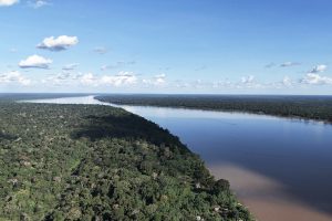 Leia mais sobre o artigo Artigo: Avanços do Judiciário no combate aos crimes ambientais na Amazônia Legal