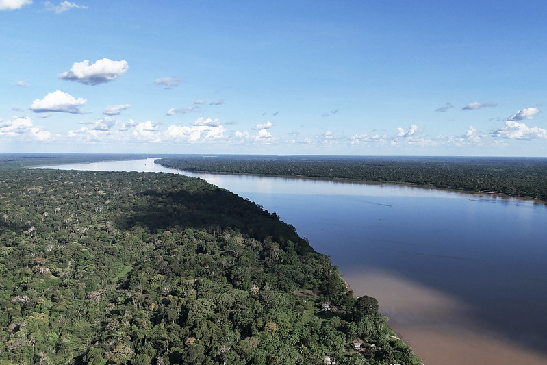 Você está visualizando atualmente Artigo: Avanços do Judiciário no combate aos crimes ambientais na Amazônia Legal