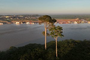 Leia mais sobre o artigo Justiça Federal da 1ª Região conclui etapa do programa de priorização da jurisdição ambiental