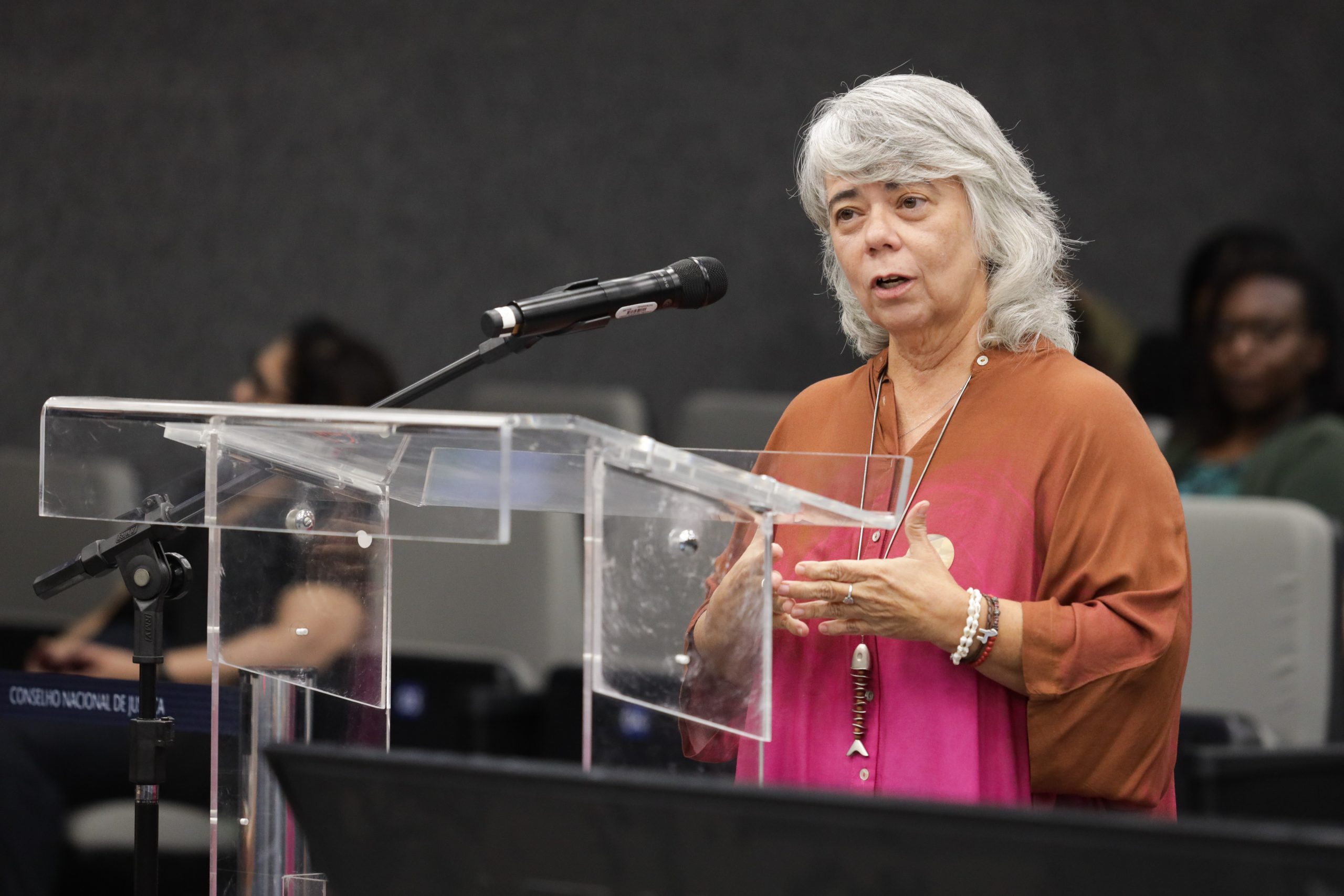 Você está visualizando atualmente Especialistas apresentam panorama de biomas brasileiros no Observatório do Meio Ambiente