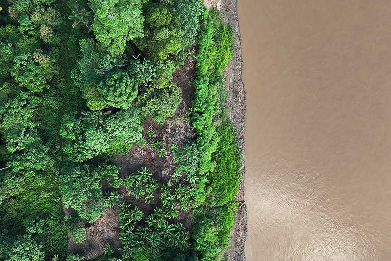 Você está visualizando atualmente Promoção de reflorestamento na Amazônia vence na categoria CNJ do 21.º Prêmio Innovare