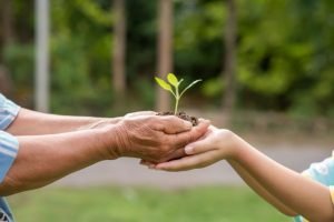 Leia mais sobre o artigo Justiça do Trabalho da 11.ª Região lidera sustentabilidade ambiental e social