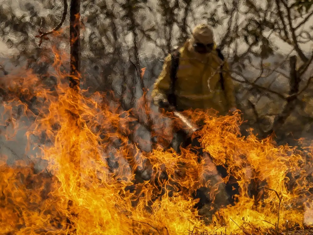 Você está visualizando atualmente Consulta pública do CNJ aborda quantificação de danos ambientais por incêndios