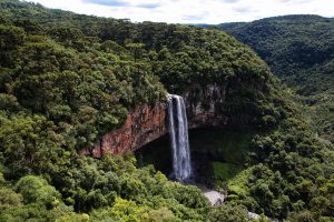 Leia mais sobre o artigo Eventos do CNJ têm emissão de carbono zerada com plantio de árvores